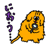 856147002