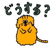 856147010