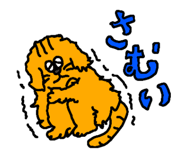 856147013