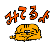 856147026