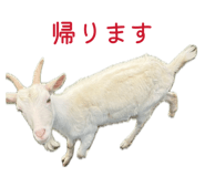 856147643