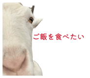856147645