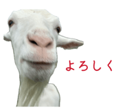 856147648