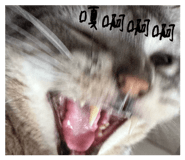 856147948