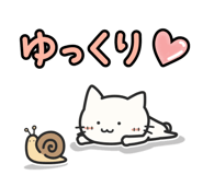 856148117