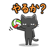 856148133
