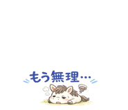 856149257