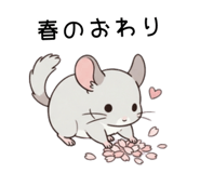 856150688
