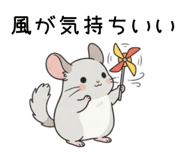856150698