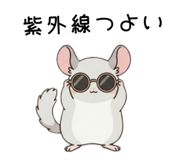 856150700