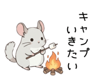 856150717