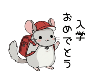 856151191