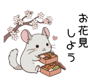 856151194
