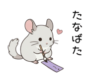 856151202