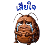 856153915
