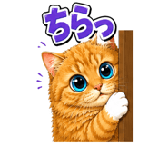 856155520