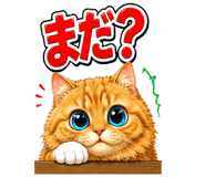 856155527
