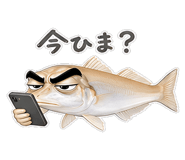 856155545