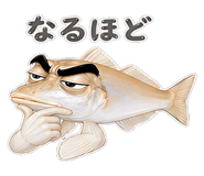 856155560