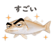 856155565