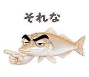 856155566