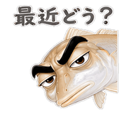 856155570