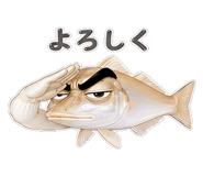 856155571