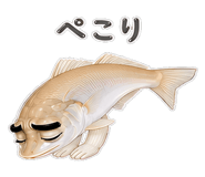 856155584