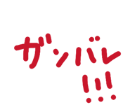 856155596