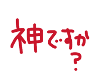 856155604