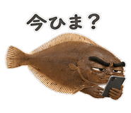 856155705