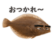 856155709