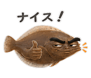 856155716