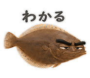 856155717