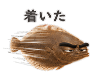 856155722