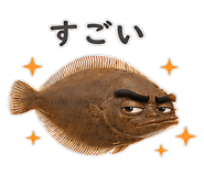 856155725