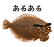 856155737
