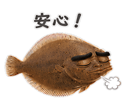 856155741