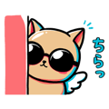 856155862