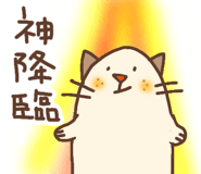 856156035