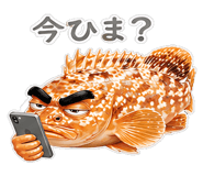 856156049