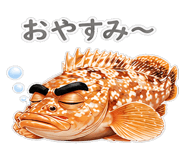856156050
