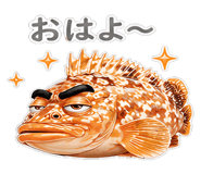 856156051