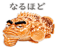 856156064