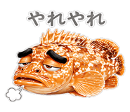 856156065