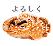 856156075