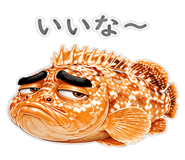 856156076