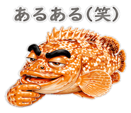 856156081