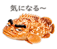 856156082