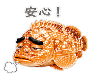 856156085